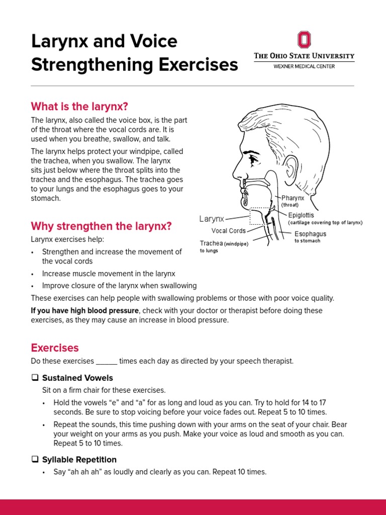 Larynx and Voice Strengthening Exercises What Is The Larynx? PDF Larynx Rainbow