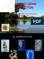Introducción Zooplancton-Rotifera
