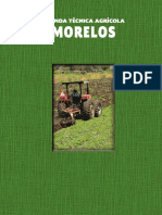 Técnica Agrícola Morelos