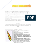 Manual Basico de Aprendizaje de Lectura de La Baraja Espanola