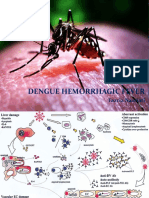 Dengue Hemorrhagic Fever: Fazria Nasriati