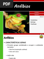 anfbios.pdf
