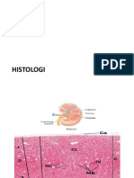 histologi