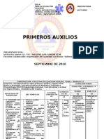 PROGRAMA PRIMEROS AUXILIOS 2010-2