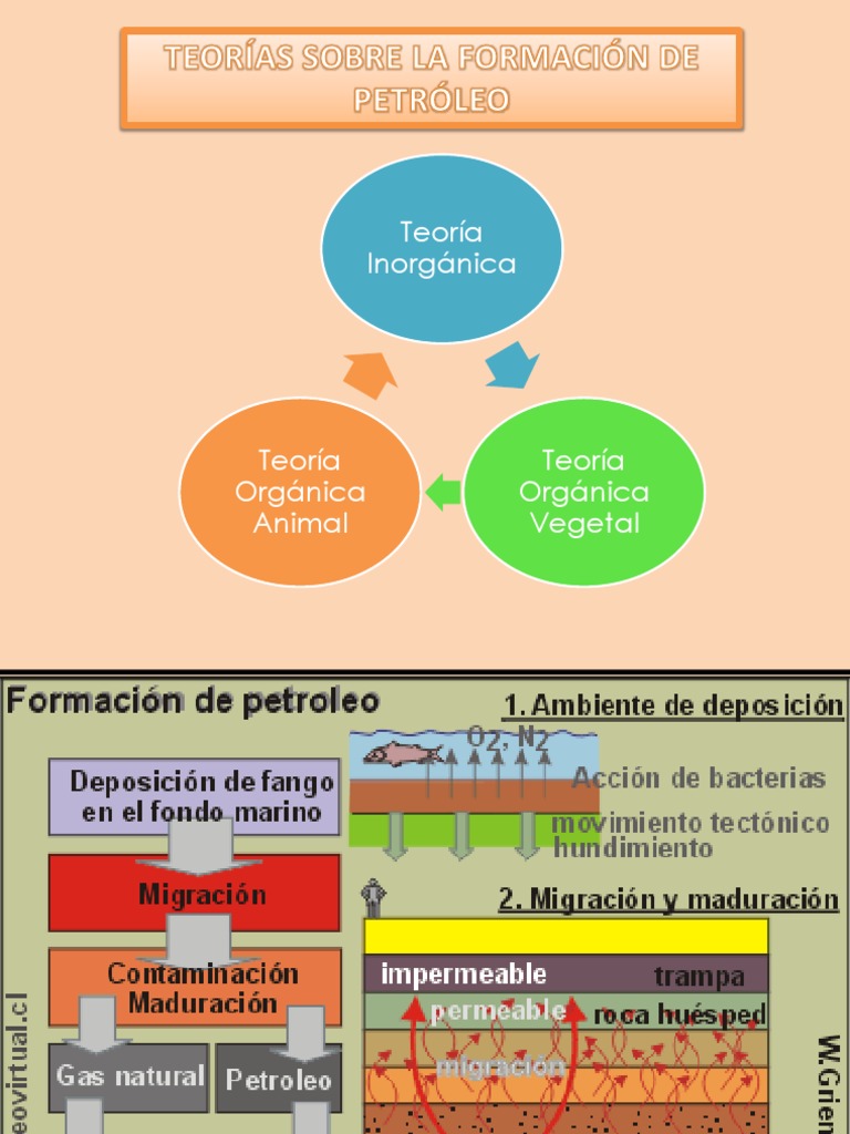 Mapa Mental del Origen del Petróleo | PDF