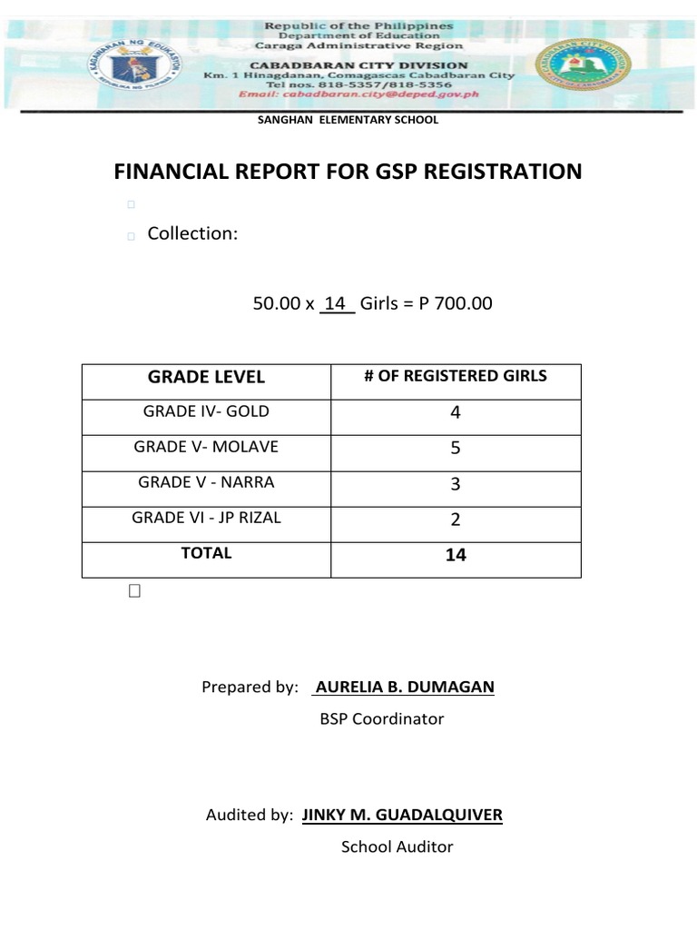 Sanghan Elementary School Financial Report | PDF