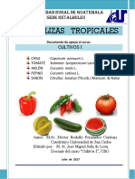 Libro Hortalizas Tropicales Cultivos I PDF