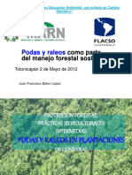 Podas y Raleos Como Parte Del Manejo Forestal PDF