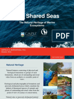 Our Shared Seas Appendix
