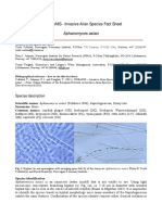 NOBANIS - Invasive Alien Species Fact Sheet: Aphanomyces Astaci