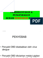 DEMAM BERDARAH PSN