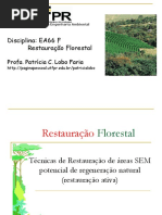 Ea66f Tec Rest Sem RN PDF