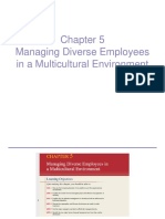 Managing Diverse Employees in A Multicultural Environment