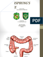 HIRSCHSPRUNG’S DISEASE PPT.pptx