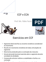 6 - CCF X CCA