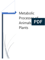 Metabolic Processes of Animals and Plants: Biology Ii