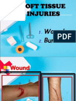 Soft Tissue Injuries: Wound Burn