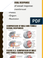 Stages of Sexual Response