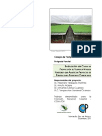 Evaluación de costos de vivero.pdf