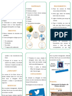 Proyecto Detergente Ecologico