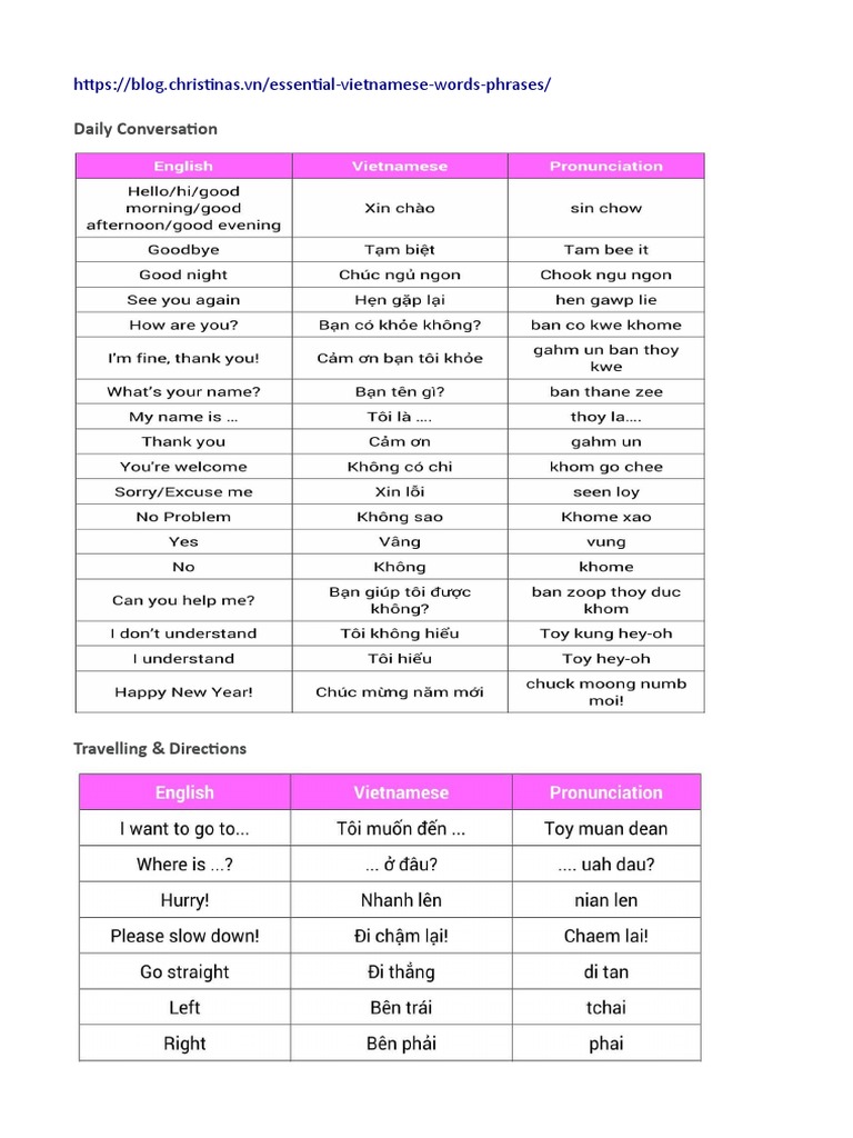 VIETNAMESE LANGUAGE BASICS intelligence overview