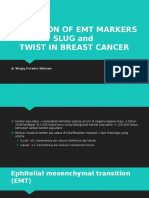 Expresion of Emt Markers Slug and