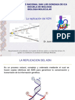 Molecular Todo 1-2 PDF