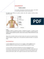 Trabajo Paralisis Cerebral