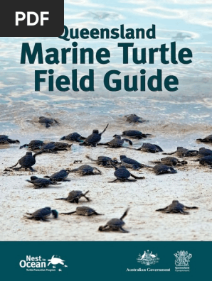 Marine Turtle Field Guide
