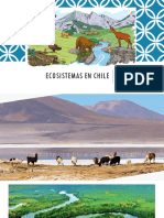 Ecosistemas en Chile