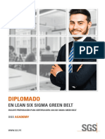 Brochure Diplomado Lean Six Sigma