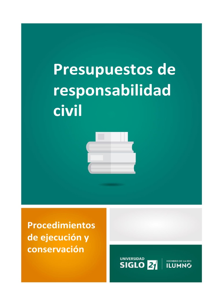 Presupuestos de responsabilidad civil: Procedimientos de ejecución y ...