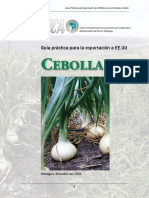 IICA2006Cebolla.pdf