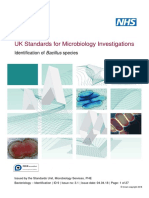 UK Standards For Microbiology Investigations: Identification of Bacillus Species