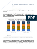 Analisis Cultivo Arroz