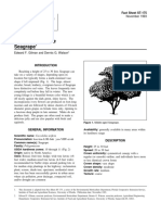 Coccoloba Uvifera Seagrape: Fact Sheet ST-175