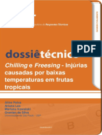 Dossiê Técnico