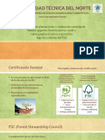 Certificación de Plantaciones y Cadena de Custodia de Bambú Gigante Dendrocalamus Asper y Caña Guadúa Guadua Angustifolia Bajo Los Criterios Del FSC