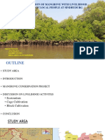 Mangrove Project Final1