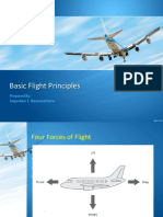 Basic Principles of Flight Aviation History in The Philippines