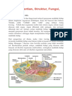 Sel: Pengertian, Struktur, Fungsi, Bagian