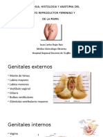 CLASE #1 - EMBRIOLOGíA, HISTOLOGÍA Y ANATOMíA DEL APARATO REPRODUCTOR FEMENINO Y DE LA MAMA (Dr. Juan Rojas)