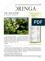 Moringa: The Tree of Life'