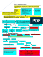 Sepsis algoritm.doc