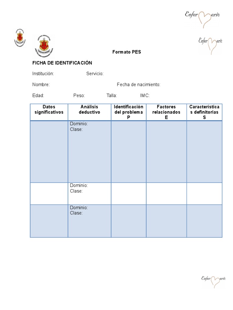 Formato PES para Enfermería | PDF