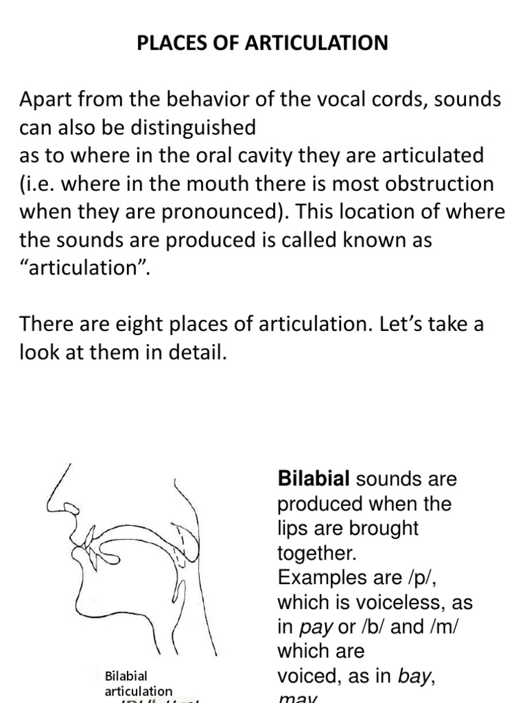 Articulation 140925161829 Phpapp02 | PDF | Human Voice | Phonetics
