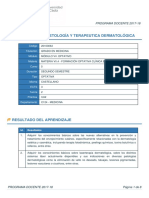 Programa Docente