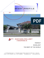 Dri - Company Profile 2009