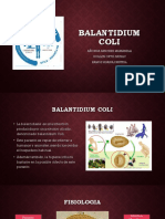 Balantidiasis Original