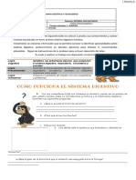 Guia 1 Sistema Digestivo1 PDF